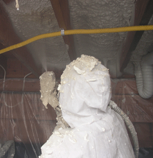 Fayette OH crawl space insulation